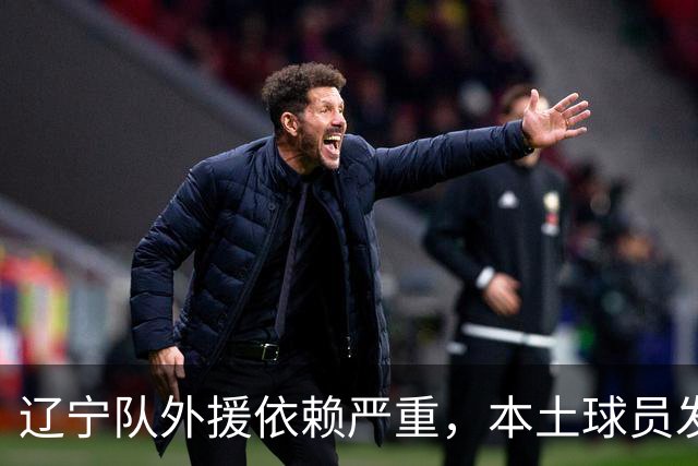 辽宁队外援依赖严重，本土球员发展面临挑战